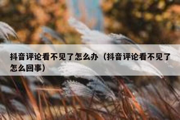 抖音评论看不见了怎么办（抖音评论看不见了怎么回事） 第1张