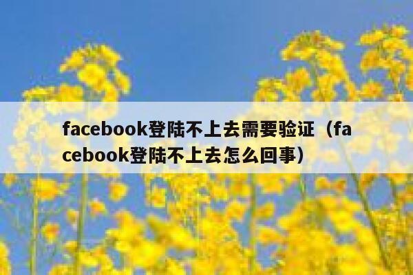 facebook登陆不上去需要验证（facebook登陆不上去怎么回事） 第1张