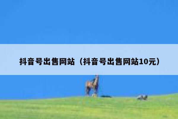 抖音号出售网站（抖音号出售网站10元） 第1张
