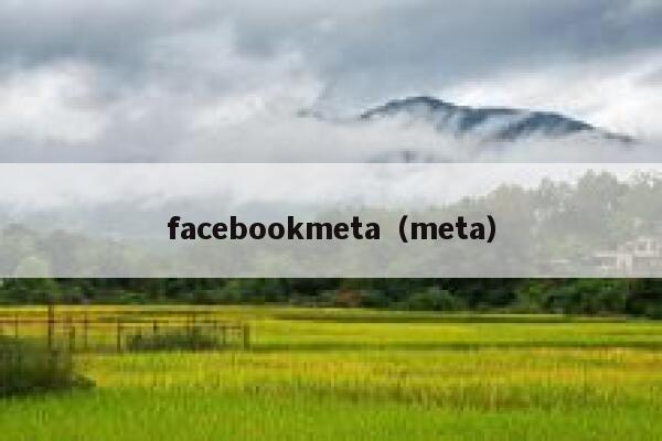 facebookmeta（meta） 第1张