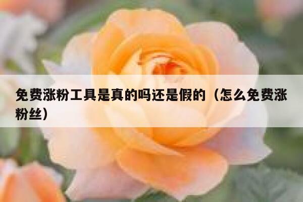 免费涨粉工具是真的吗还是假的（怎么免费涨粉丝） 第1张