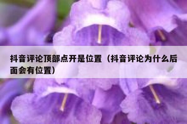 抖音评论顶部点开是位置（抖音评论为什么后面会有位置） 第1张