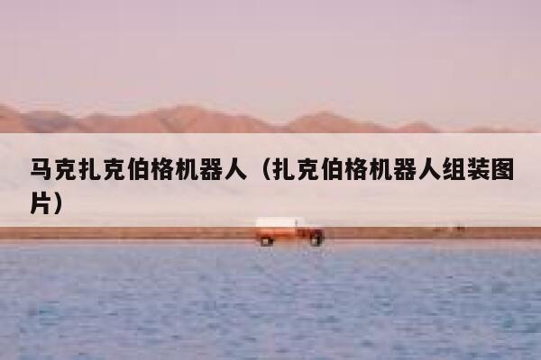 马克扎克伯格机器人（扎克伯格机器人组装图片） 第1张