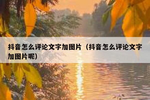 抖音怎么评论文字加图片（抖音怎么评论文字加图片呢） 第1张