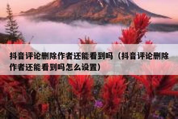 抖音评论删除作者还能看到吗（抖音评论删除作者还能看到吗怎么设置） 第1张