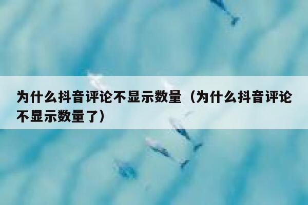 为什么抖音评论不显示数量（为什么抖音评论不显示数量了） 第1张