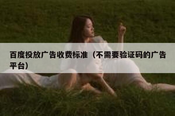 百度投放广告收费标准（不需要验证码的广告平台） 第1张