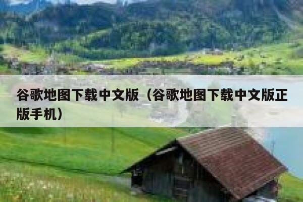 谷歌地图下载中文版（谷歌地图下载中文版正版手机） 第1张