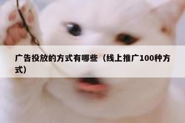 广告投放的方式有哪些（线上推广100种方式） 第1张
