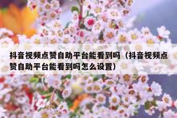 抖音视频点赞自助平台能看到吗（抖音视频点赞自助平台能看到吗怎么设置） 第1张