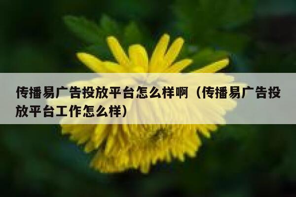 传播易广告投放平台怎么样啊（传播易广告投放平台工作怎么样） 第1张