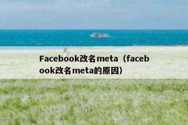 Facebook改名meta（facebook改名meta的原因） 第1张