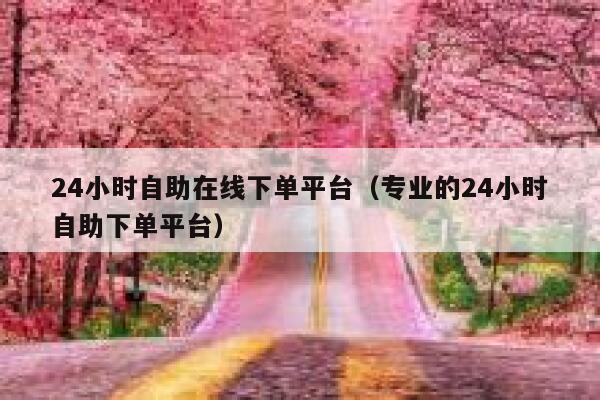 24小时自助在线下单平台（专业的24小时自助下单平台） 第1张