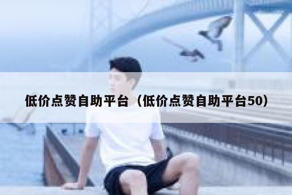 低价点赞自助平台（低价点赞自助平台50） 第1张
