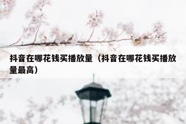 抖音在哪花钱买播放量（抖音在哪花钱买播放量最高） 第1张