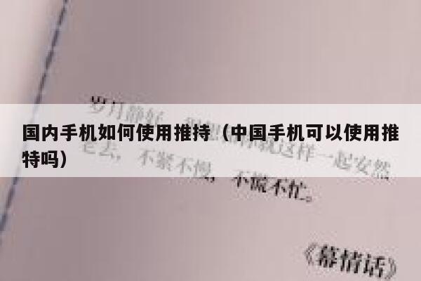 国内手机如何使用推持（中国手机可以使用推特吗） 第1张
