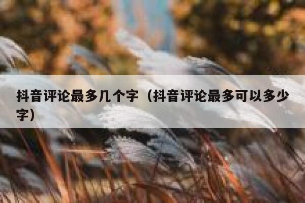 抖音评论最多几个字（抖音评论最多可以多少字） 第1张