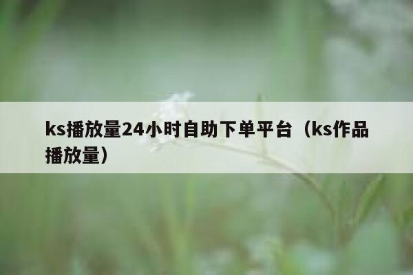 ks播放量24小时自助下单平台（ks作品播放量） 第1张