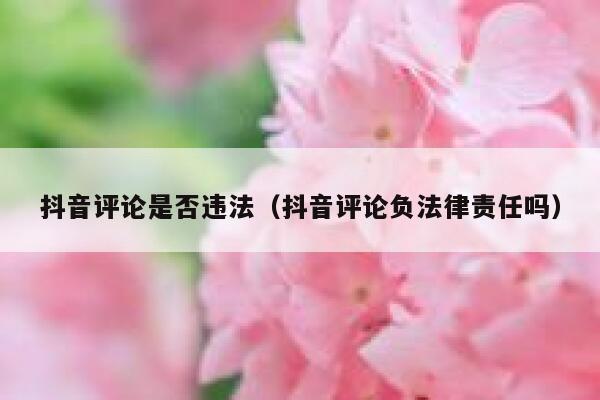 抖音评论是否违法（抖音评论负法律责任吗） 第1张
