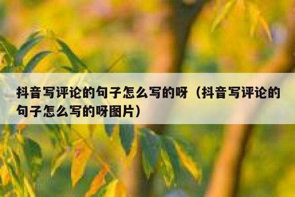 抖音写评论的句子怎么写的呀（抖音写评论的句子怎么写的呀图片） 第1张