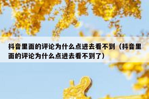 抖音里面的评论为什么点进去看不到（抖音里面的评论为什么点进去看不到了） 第1张