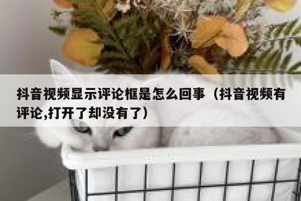 抖音视频显示评论框是怎么回事（抖音视频有评论,打开了却没有了） 第1张