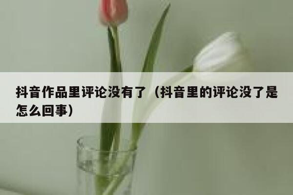抖音作品里评论没有了（抖音里的评论没了是怎么回事） 第1张