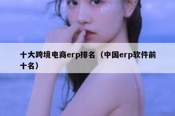 十大跨境电商erp排名（中国erp软件前十名） 第1张