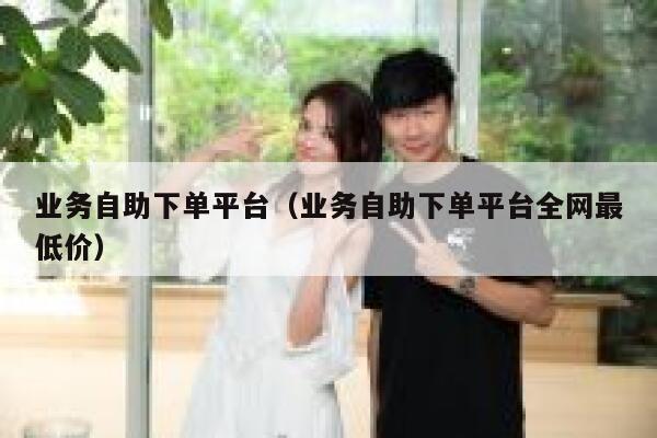 业务自助下单平台（业务自助下单平台全网最低价） 第1张