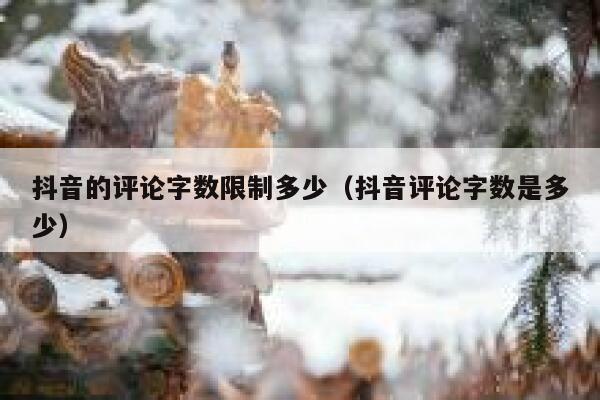 抖音的评论字数限制多少（抖音评论字数是多少） 第1张
