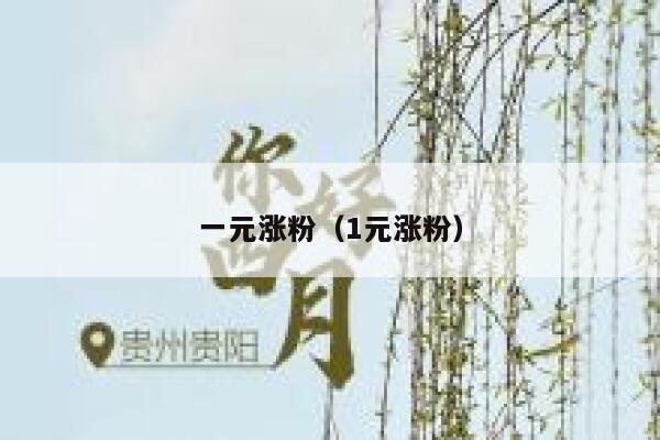 一元涨粉（1元涨粉） 第1张