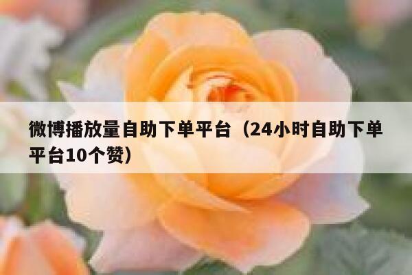 微博播放量自助下单平台(24小时自助下单平台10个赞) 第1张 微博播放量自助下单平台(24小时自助下单平台10个赞) 第1张