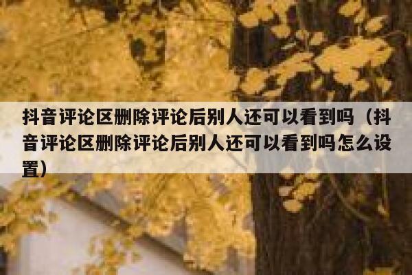 抖音评论区删除评论后别人还可以看到吗(抖音评论区删除评论后别人还可以看到吗怎么设置) 第1张 抖音评论区删除评论后别人还可以看到吗(抖音评论区删除评论后别人还可以看到吗怎么设置) 第1张