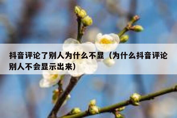 抖音评论了别人为什么不显（为什么抖音评论别人不会显示出来） 第1张