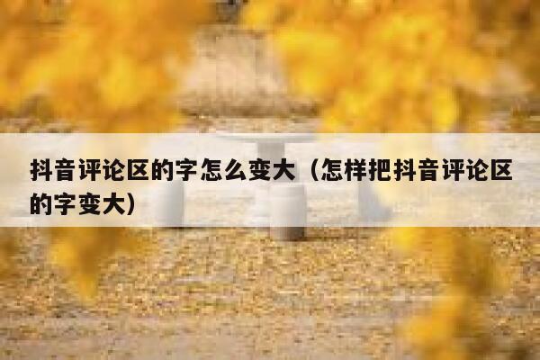 抖音评论区的字怎么变大（怎样把抖音评论区的字变大） 第1张