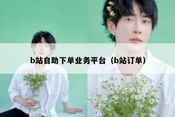 b站自助下单业务平台（b站订单） 第1张