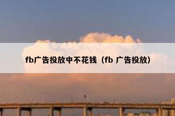 fb广告投放中不花钱（fb 广告投放） 第1张