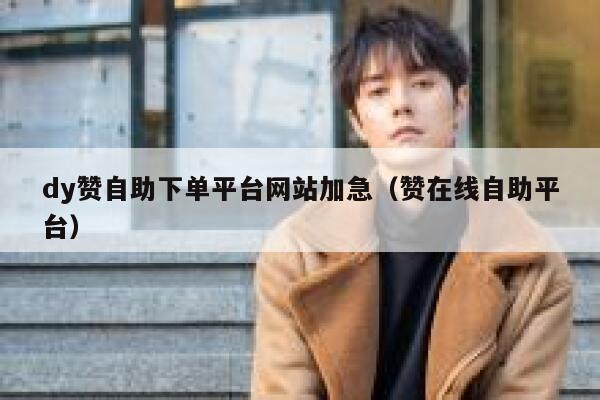dy赞自助下单平台网站加急（赞在线自助平台） 第1张
