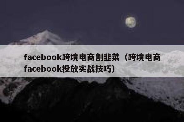 facebook跨境电商割韭菜（跨境电商facebook投放实战技巧） 第1张
