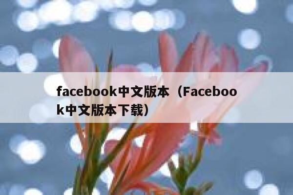 facebook中文版本（Facebook中文版本下载） 第1张