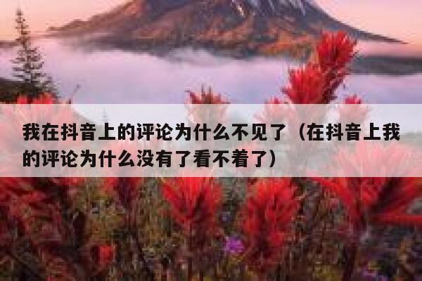我在抖音上的评论为什么不见了（在抖音上我的评论为什么没有了看不着了） 第1张