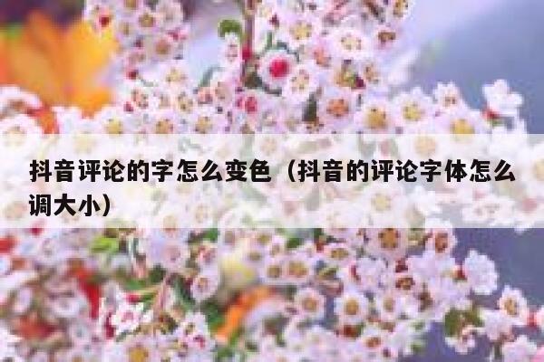 抖音评论的字怎么变色（抖音的评论字体怎么调大小） 第1张