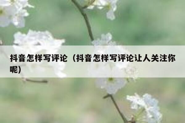 抖音怎样写评论（抖音怎样写评论让人关注你呢） 第1张