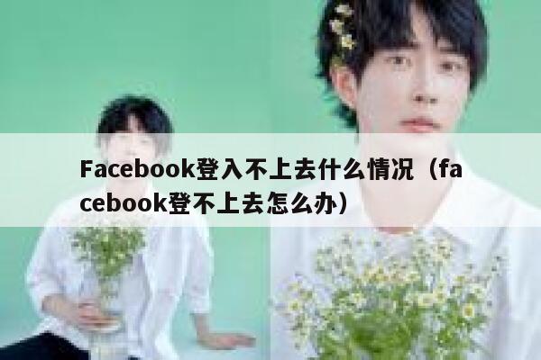 Facebook登入不上去什么情况（facebook登不上去怎么办） 第1张