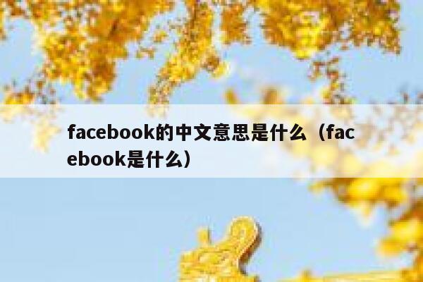 facebook的中文意思是什么（facebook是什么） 第1张