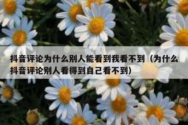抖音评论为什么别人能看到我看不到(为什么抖音评论别人看得到自己看不到) 第1张 抖音评论为什么别人能看到我看不到(为什么抖音评论别人看得到自己看不到) 第1张