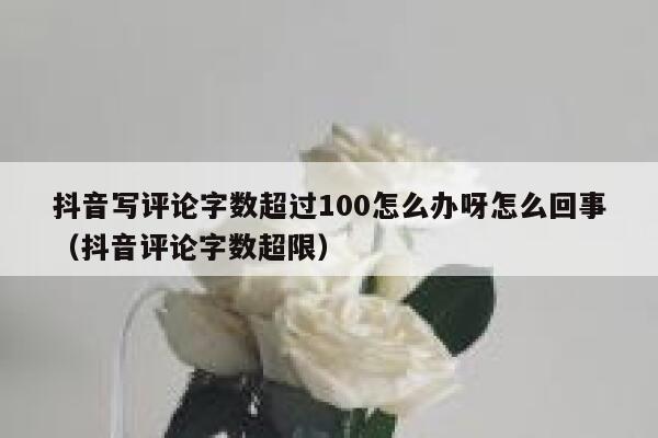抖音写评论字数超过100怎么办呀怎么回事(抖音评论字数超限) 第1张 抖音写评论字数超过100怎么办呀怎么回事(抖音评论字数超限) 第1张