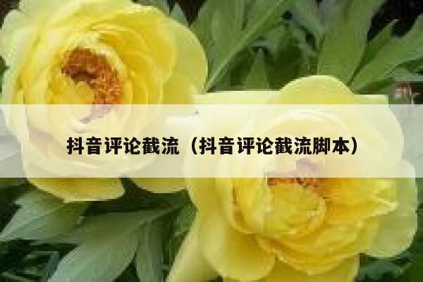 抖音评论截流（抖音评论截流脚本） 第1张