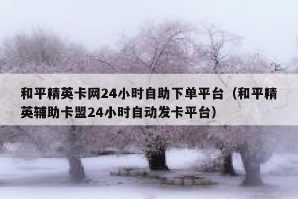 和平精英卡网24小时自助下单平台（和平精英辅助卡盟24小时自动发卡平台） 第1张