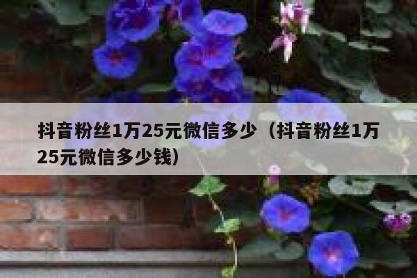 抖音粉丝1万25元微信多少（抖音粉丝1万25元微信多少钱） 第1张